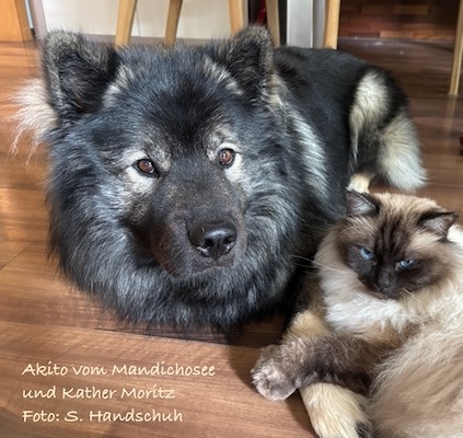 KZG-Tagesbild