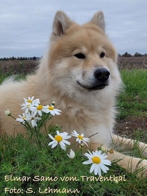 Copyright KZG-Euraiser e.V. KZG-Tagesbild