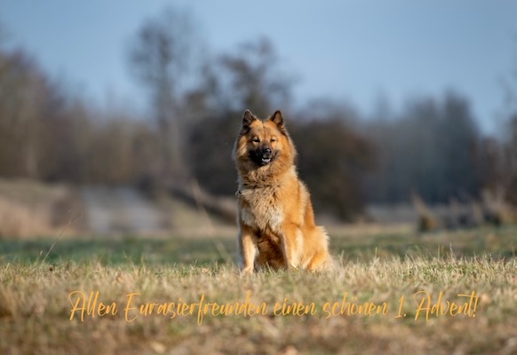 Copyright KZG-Euraiser e.V. KZG-Tagesbild