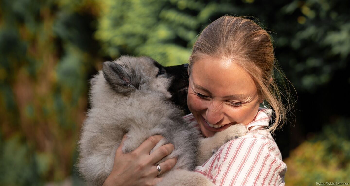 Eurasier Welpen
