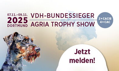 Eurasier Ausstellung