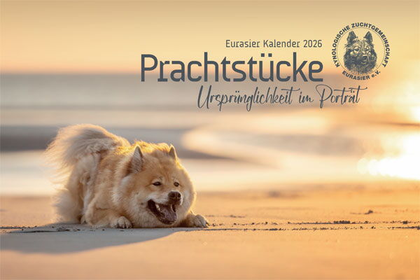 Eurasier Kalender