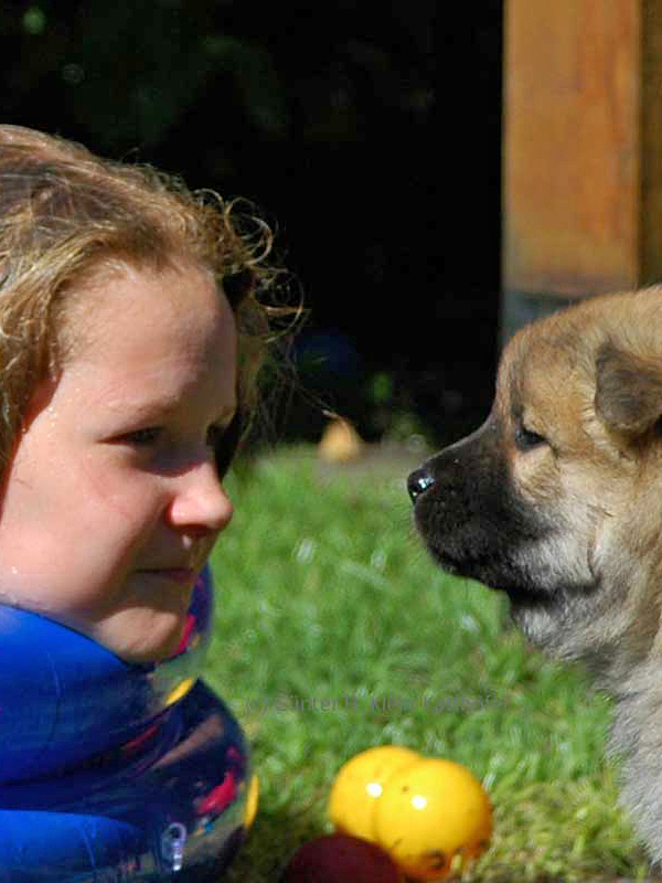 Kind und Eurasierwelpe