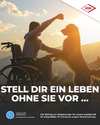 Eurasier Foto